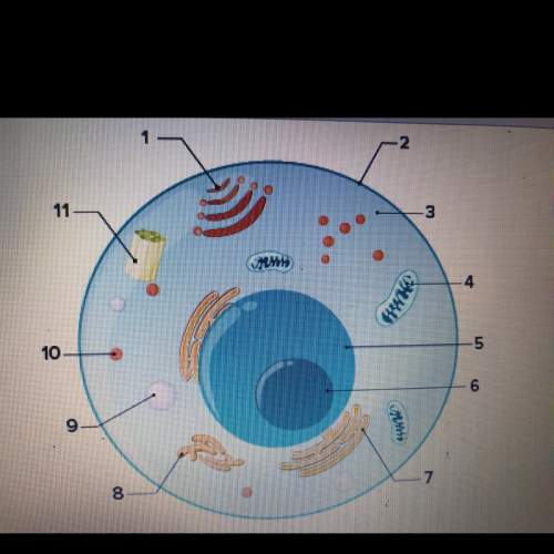 What part of the cell does 9 represent? : )