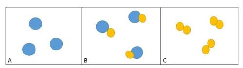 Which picture or pictures show an element? question 15 options: a and c a only b and c c only