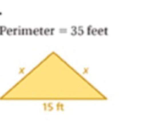 Ineed to know the answer i’m super bad at perimeter