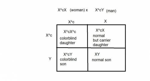 Arecessive allele on the x chromosome is responsible for red-green color blindness in humans. allele