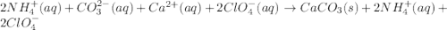 2NH_{4}^{+}(aq)+ CO_{3}^{2-}(aq)+Ca^{2+}(aq)+2ClO_{4}^{-}(aq) \rightarrow CaCO_{3}(s)+2NH_{4}^{+}(aq)+2ClO_{4}^{-}