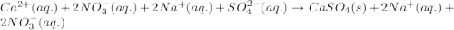 Ca^{2+}(aq.)+2NO_3^-(aq.)+2Na^+(aq.)+SO_4^{2-}(aq.)\rightarrow CaSO_4(s)+2Na^+(aq.)+2NO_3^-(aq.)
