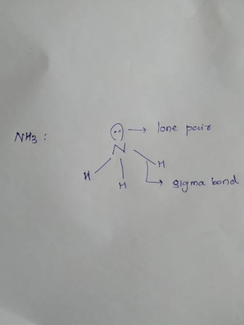 According to valence bond theory, which orbitals on n and h overlap in the nh3 molecule?  2p on n ov