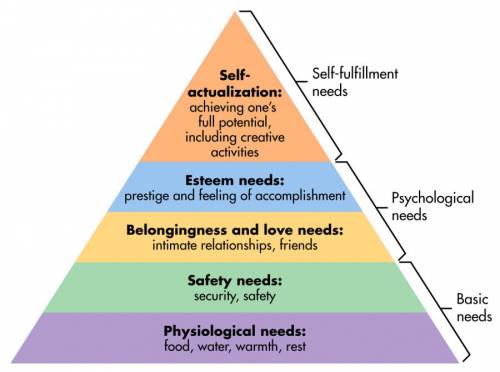 Which of the following needs is an addition to maslow’s original hierarchy and only appears in the e