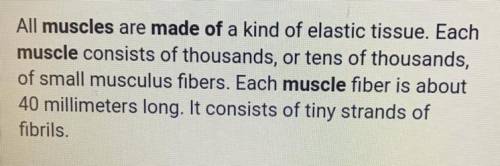 4. every muscle in the body is made up of a particular kind of