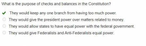 What is the purpose of checks and balances in the constitution?
