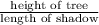 \frac{\text {height of tree}}{\text {length of shadow}}