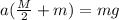 a(\frac{M}{2}+m)=mg