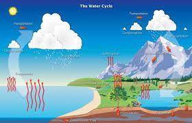 What impact do ocean currents have on the transfer of energy and climate