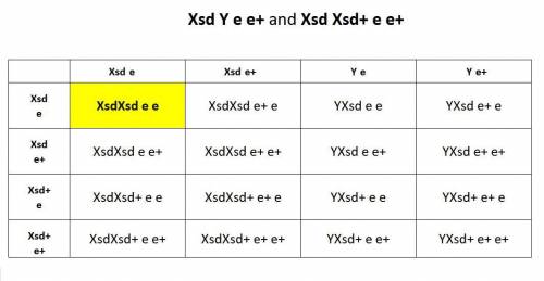 Scalloped (sd) is an x-linked recessive and ebony (e) is an autosomal recessive mutation. what propo