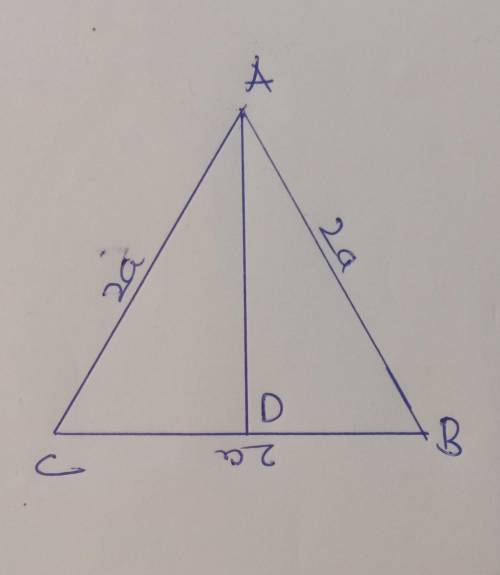 In an equilateral triangle abc of side 2a,ad perpendicular to bc,then find the length of ad.