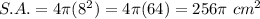S.A.=4\pi(8^2)=4\pi(64)=256\pi\ cm^2