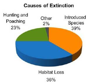 According to the pie chart, which cause results in the most extinctions?  a.other b.introduced speci