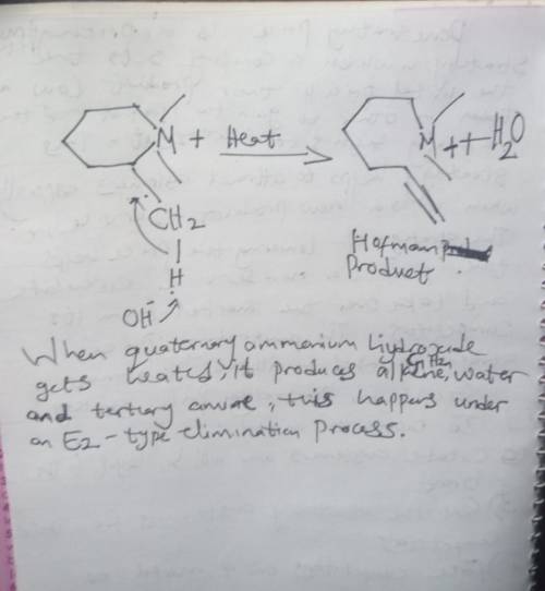 Draw the major organic product formed by heating the following quaternary ammonium hydroxide salt.