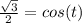 \frac{\sqrt{3}}{2} = cos(t)