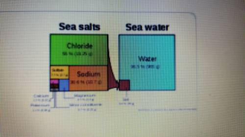 What is major ion in seawater?  a. magnesium b. sodium c. sulfate d.chloride