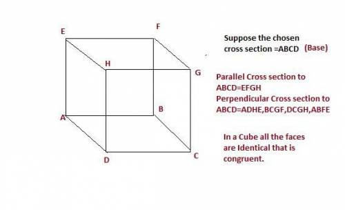 All cross sectional shapes that are parallel or perpendicular to one of the bases of  are also congr