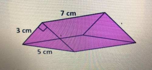Need  with finding the area of this prism