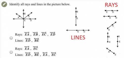 Identify all rays and lines in the picture below. (full question above)