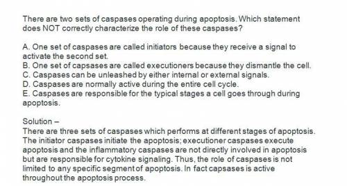 There are two sets of caspases opreating during apoptosis. which of the following statements does no