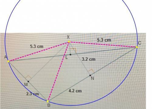 point x is the circumcenter of δabc what is the length of xb?  -4.2 cm -4.6 cm -4.8 cm -5.3 cm