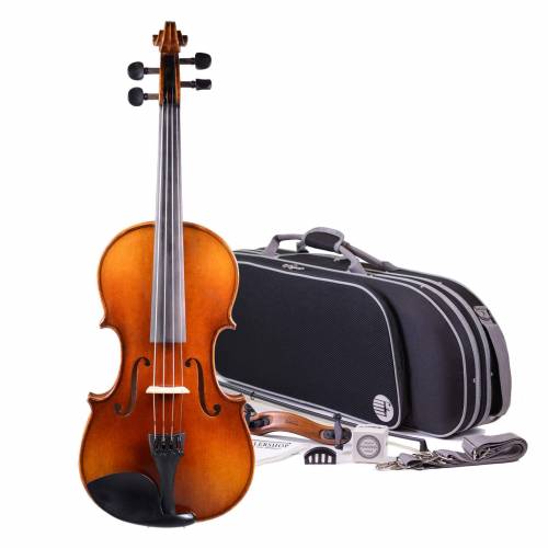 The development of the modern violin stems from early types of instruments available in europe durin