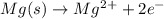 Mg(s)\rightarrow Mg^2^++2e^-