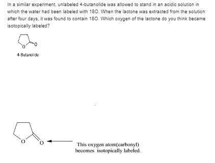 In a similar experiment, unlabeled 4-butanolide was allowed to stand in an acidic solution in which