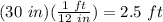 (30\ in)(\frac{1\ ft}{12\ in})=2.5\ ft