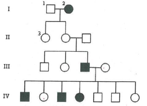 1. in a pedigree, a square represents a male. if it is darkened he has hemophilia;  if clear, he had