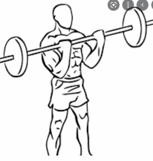 Abodybuilder exercises his biceps by repetitively lifting weight. the biceps get bigger over time. w