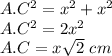 A.C^2=x^2+x^2\\A.C^2=2x^2\\A.C=x\sqrt{2}\ cm