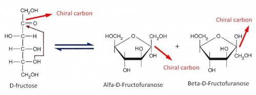 Major species present when fructose is dissolved in water