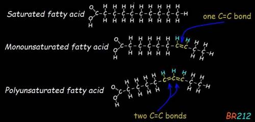 Which fat has only single bonds between the carbon atoms in the fatty acid? a. saturated b.unsaturat