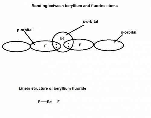 If all of the bonding electrons in a molecule are bonded in two hybrid sp orbitals, which shape does