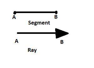 In the form of a paragraph, explain the difference between a ray and a segment. include, in your exp