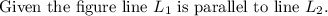 \text{Given the figure line } L_1 \text{ is parallel to line }L_2.