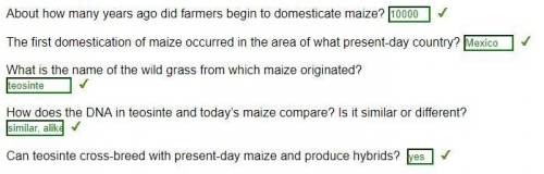 About how many years ago did farmers begin to domesticate maize?