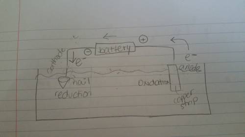 1. create a diagram of your electroplating apparatus (an electrolytic cell). then submit your drawin
