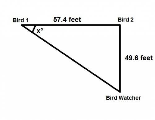 Two birds sit at the top of two different trees 57.4 feet away from eachother. the distance between