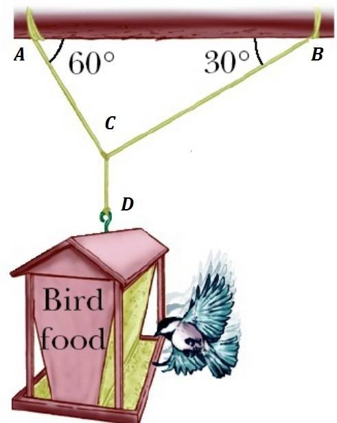 A150-n bird feeder is supported by three cables. find the tension in each cable.