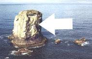 What coastal erosion feature does the arrow point to in the image below?  a photograph showing an ex