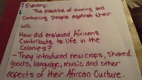 How did enslaved africans contribute to life in the colonies