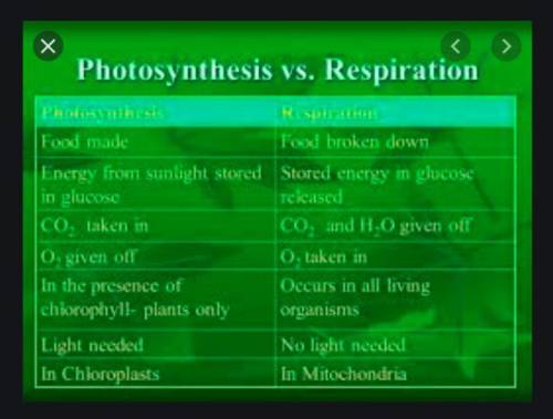 What statement best compares photosynthesis and cellular respiration?  a.  photosynthesis breaks dow