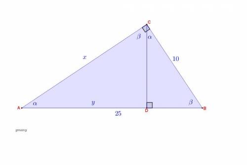 The length of the hypotenuse of the right triangle is 25 cm, the length of one of the legs is 10 cm.