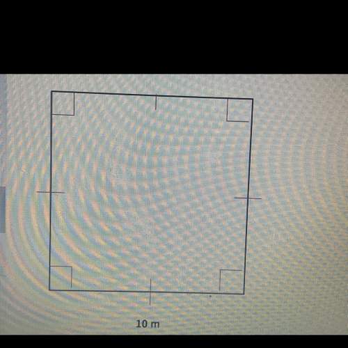 Find the perimeter of this figure. answers choices 40 m 20 m 100 m 80 m