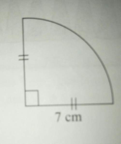 Find the perimeter of the following.