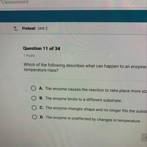 Which of the following describes what can happen to an enzyme as temperature rises