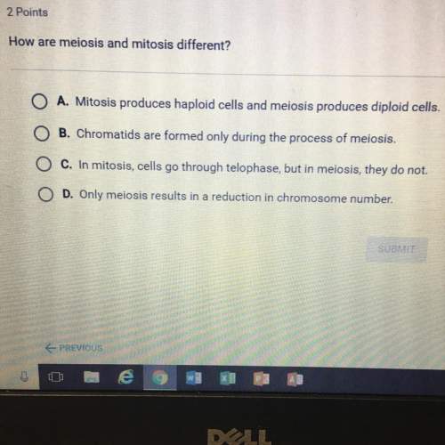 How are meiosis and mitosis different