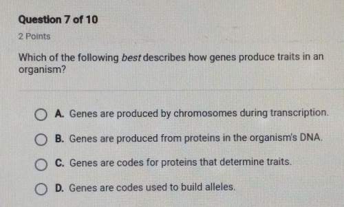 Which of th following best describes how genes produce traits in an organism?